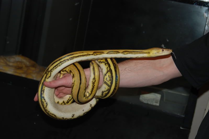 DSC_0114.jpg