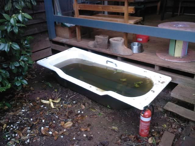 Photo0585.jpg