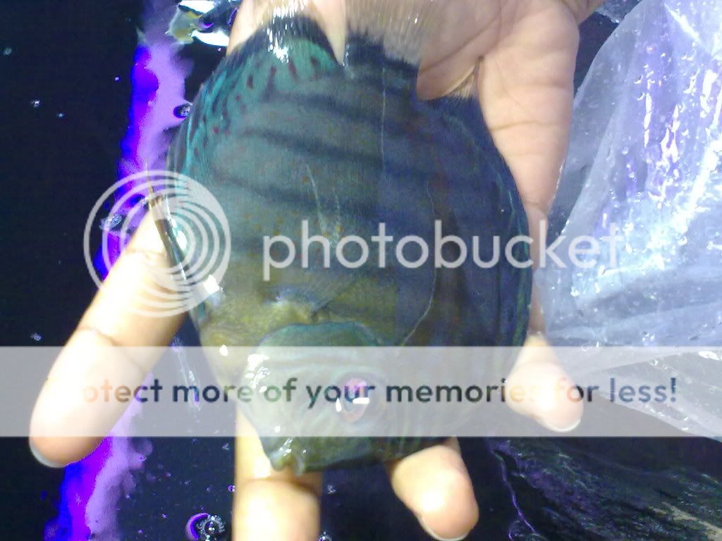 10062009184.jpg