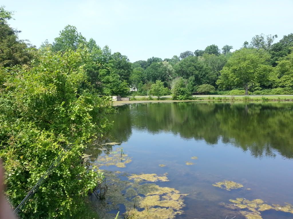 20130627_104642_zps449c549a.jpg