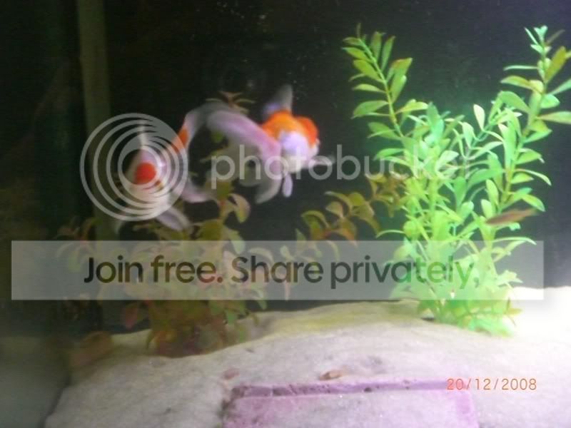 substrate002.jpg