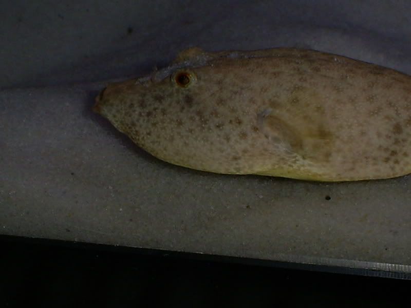 S5031355.jpg