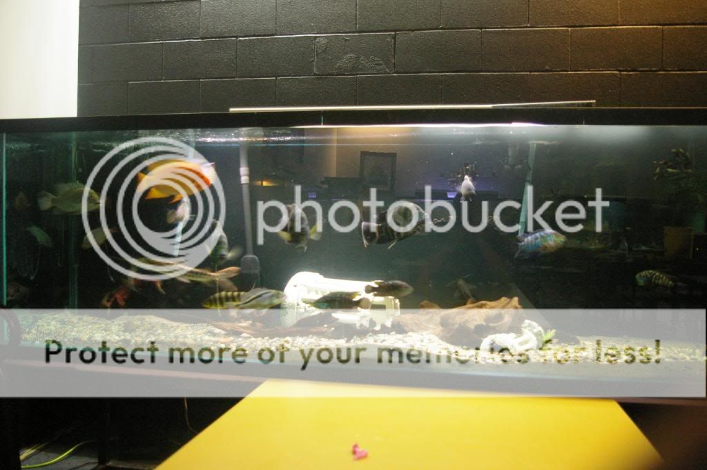 IMGP6356.jpg