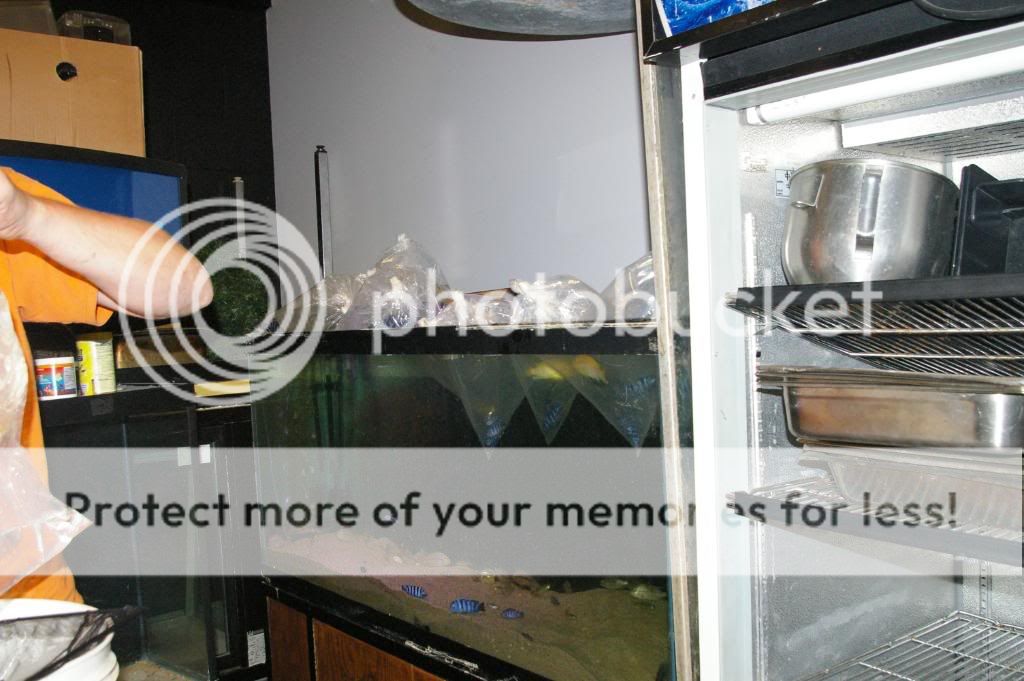 IMGP5362.jpg