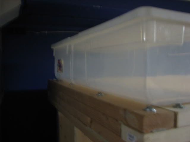 017-1.jpg