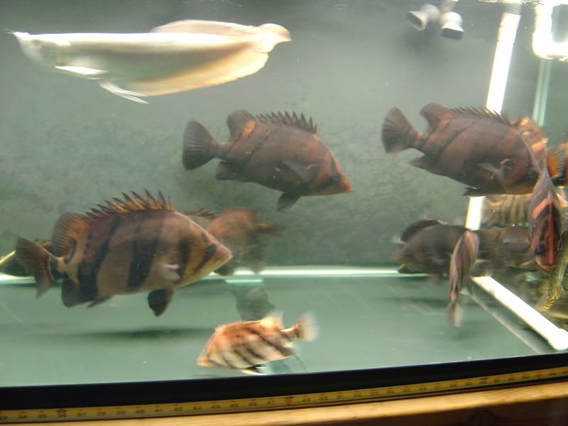 6-24-08048.jpg