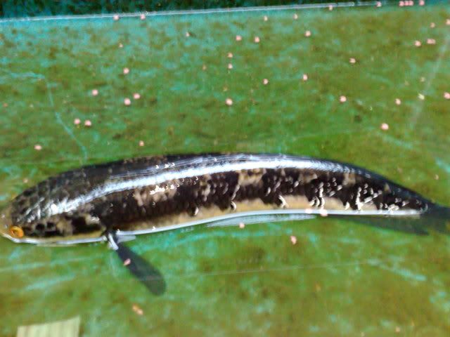 13102009671.jpg