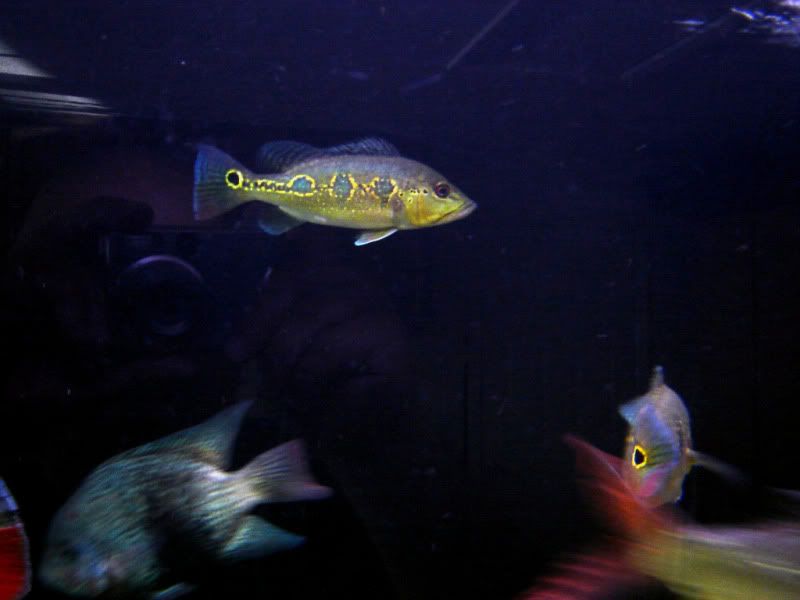 DSC07421.jpg
