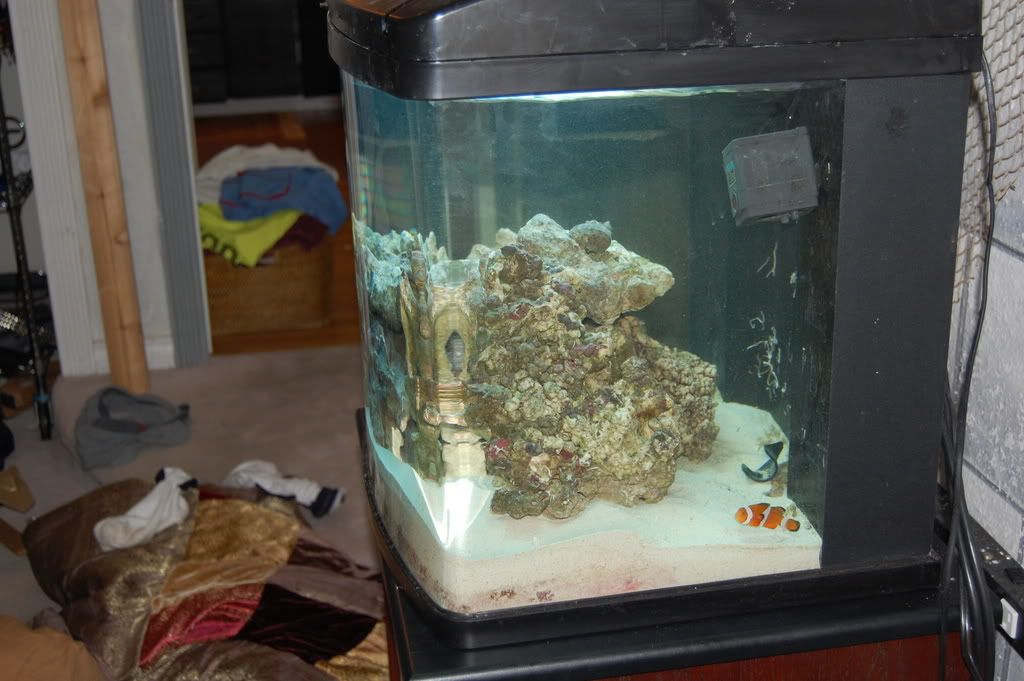 NanoCube10.jpg