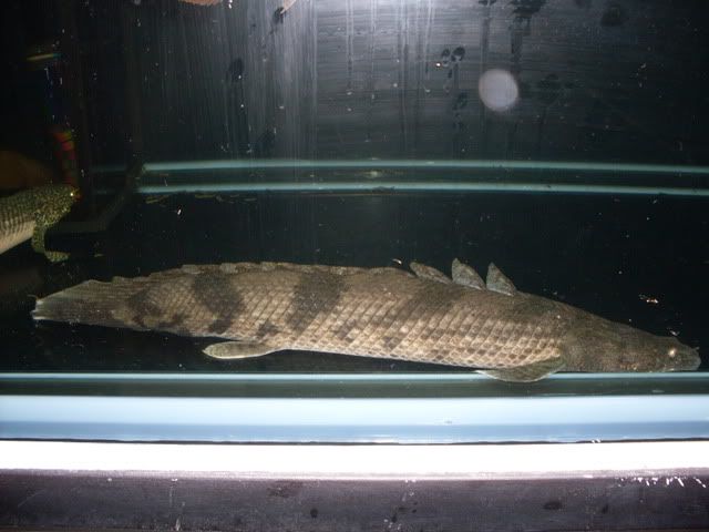 SDC10028.jpg