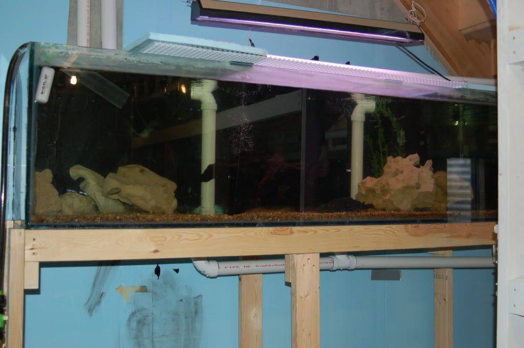 DSC_0582.jpg
