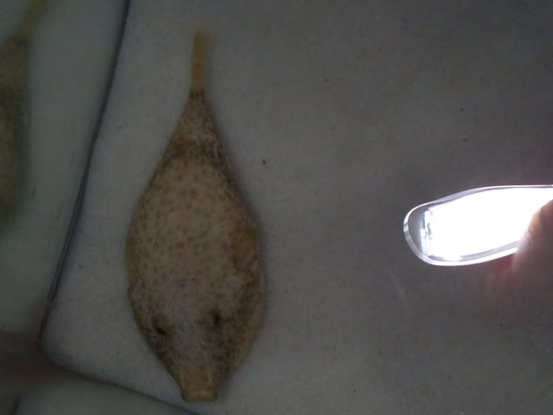 S5031348.jpg