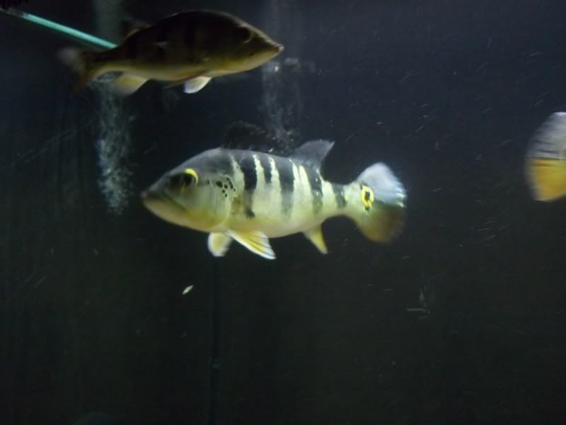 100_4655.jpg