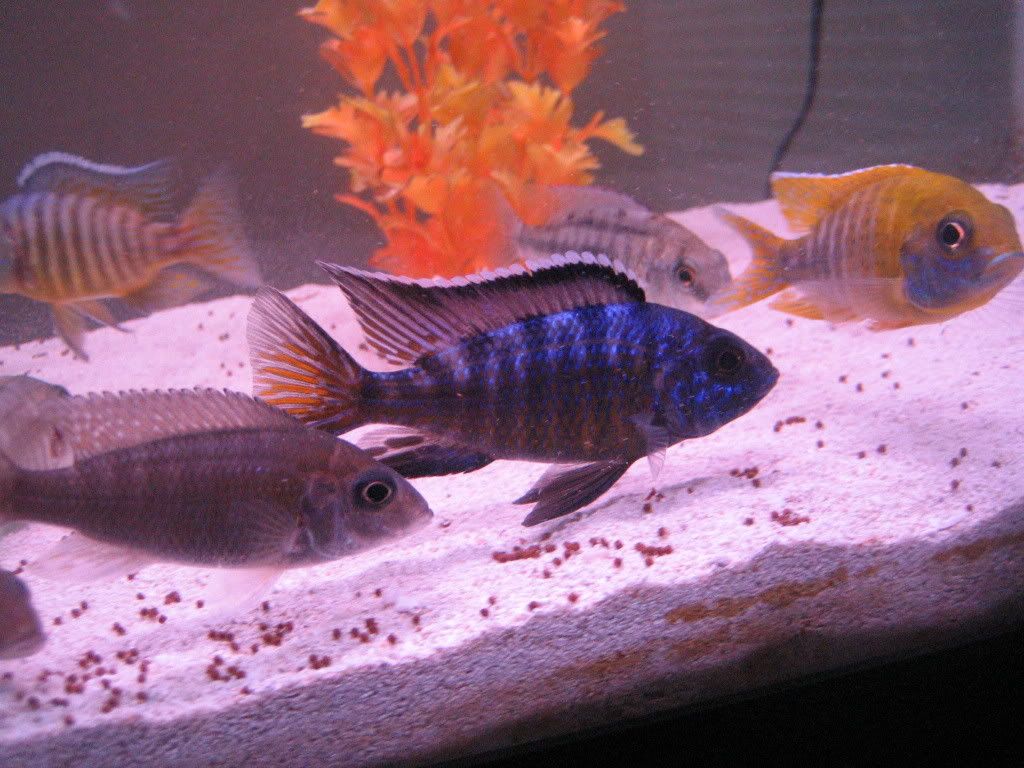 IMG_5334.jpg