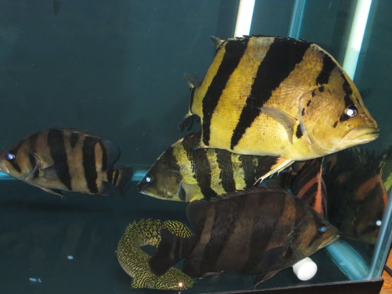 4-21-09004.jpg
