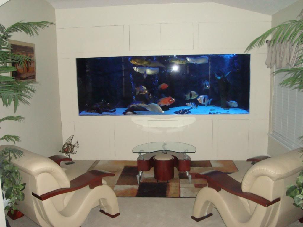 christmas2012081_zps41d39d4a.jpg