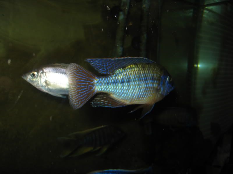 IMG_3304.jpg