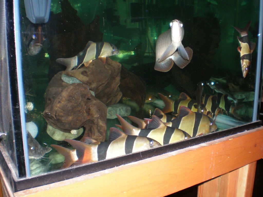 PA101075.jpg