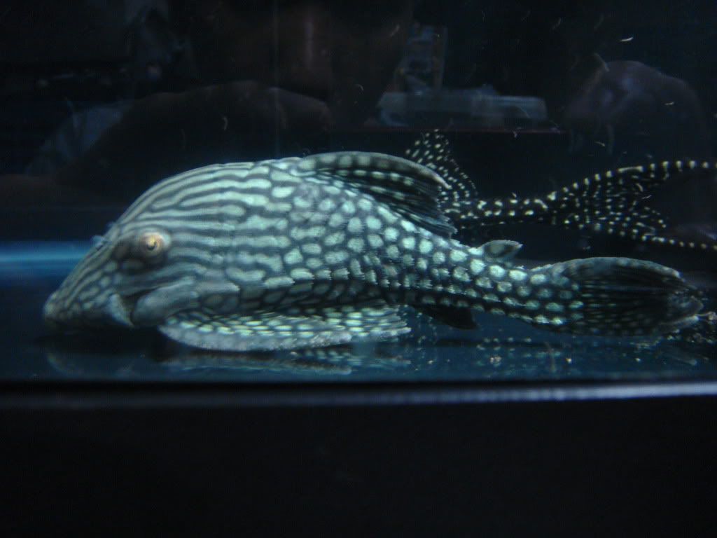 DSC02014.jpg