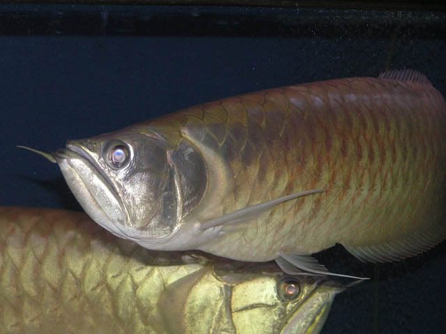 P9230064.jpg