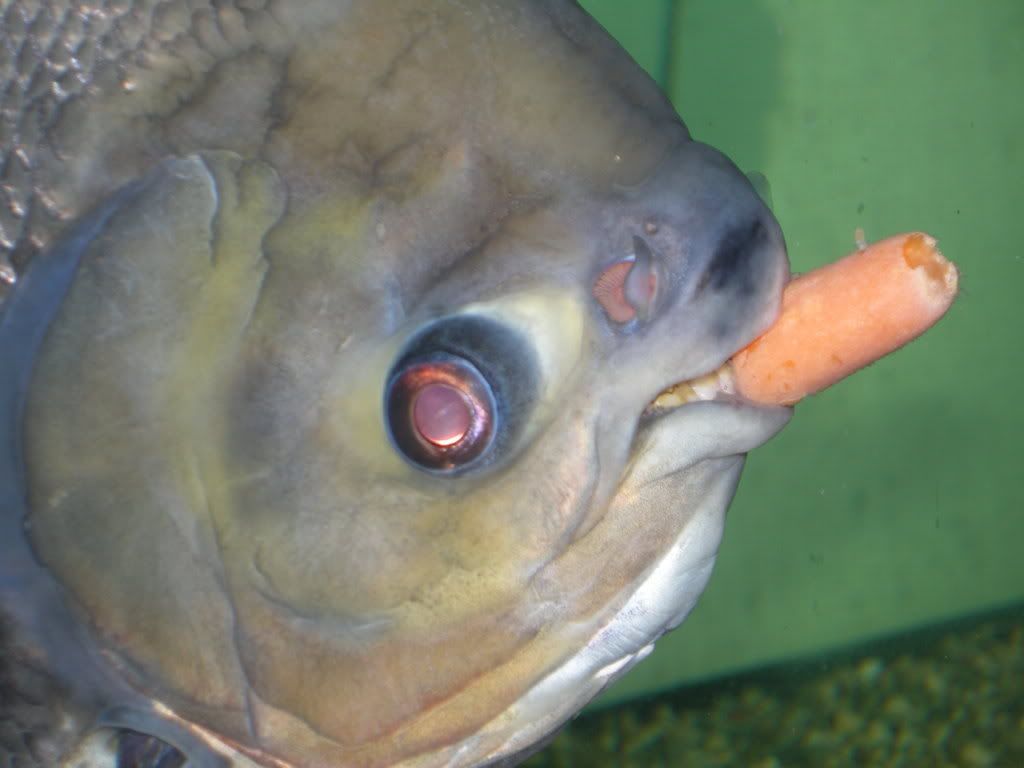 DSCN5757.jpg