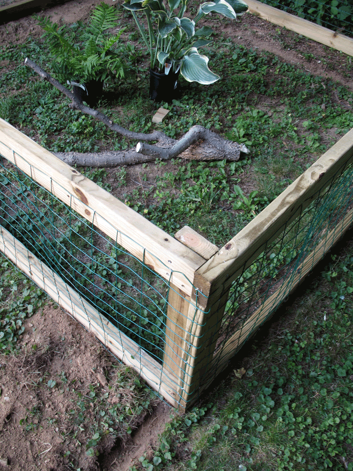 Turtle-Pen-Closeup.gif