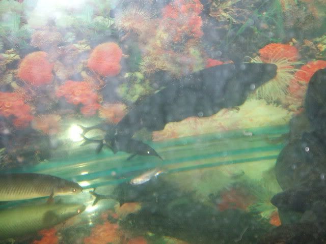 DSCF2393.jpg