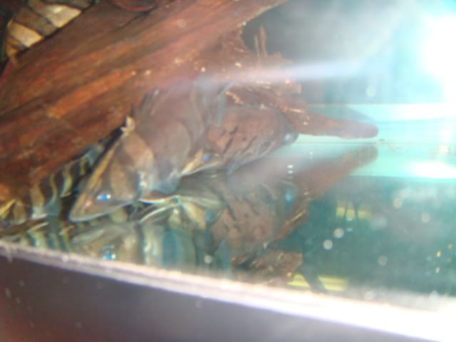 DSC01095.jpg