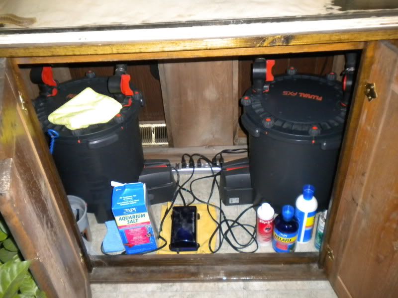 DSCN0917.jpg