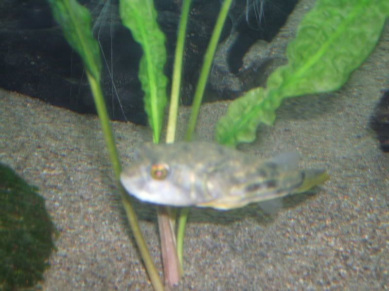 DSCF1933.jpg