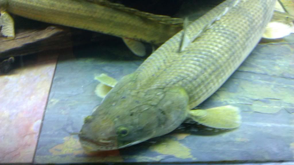 IMAG0931.jpg