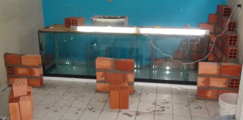 M9_aquario_010.jpg