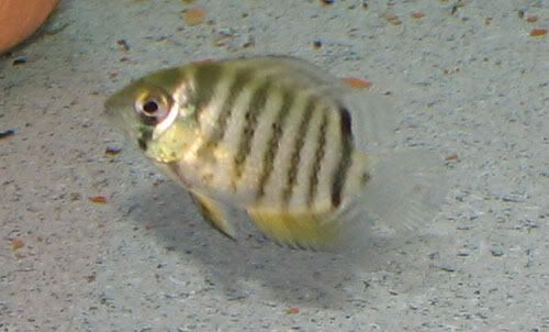 106c33ec.jpg
