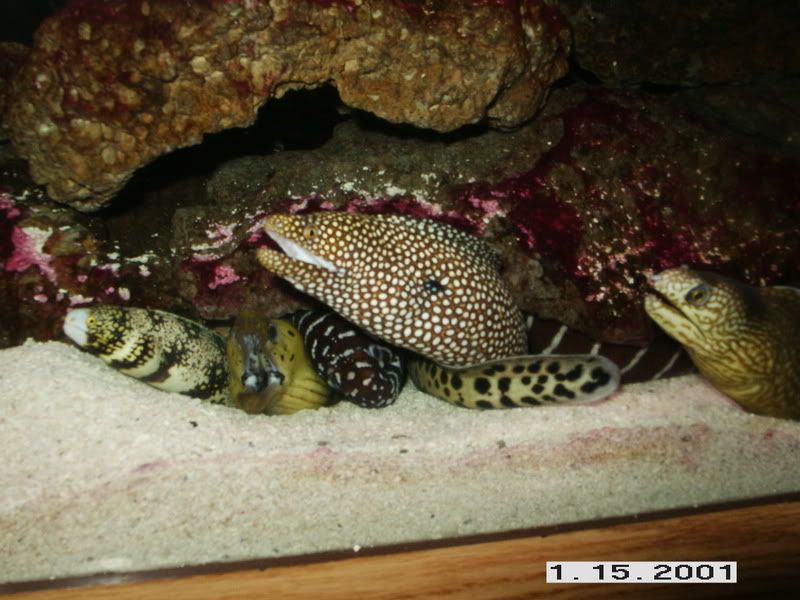 PICT0377.jpg