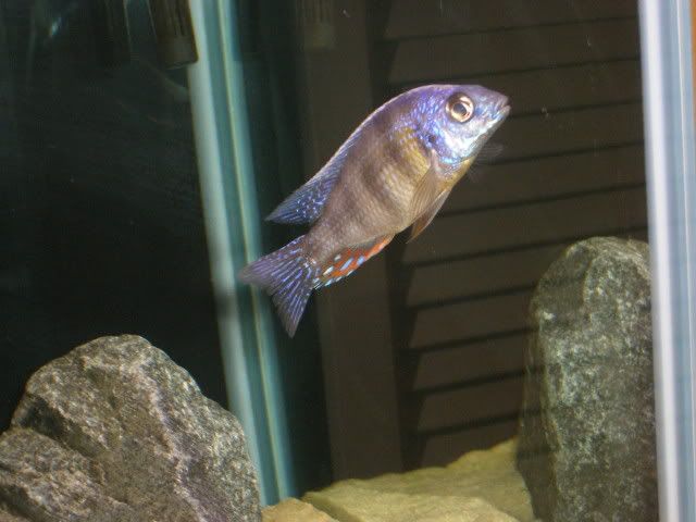 p3.jpg