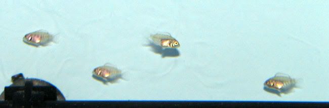 IMG_6695.jpg