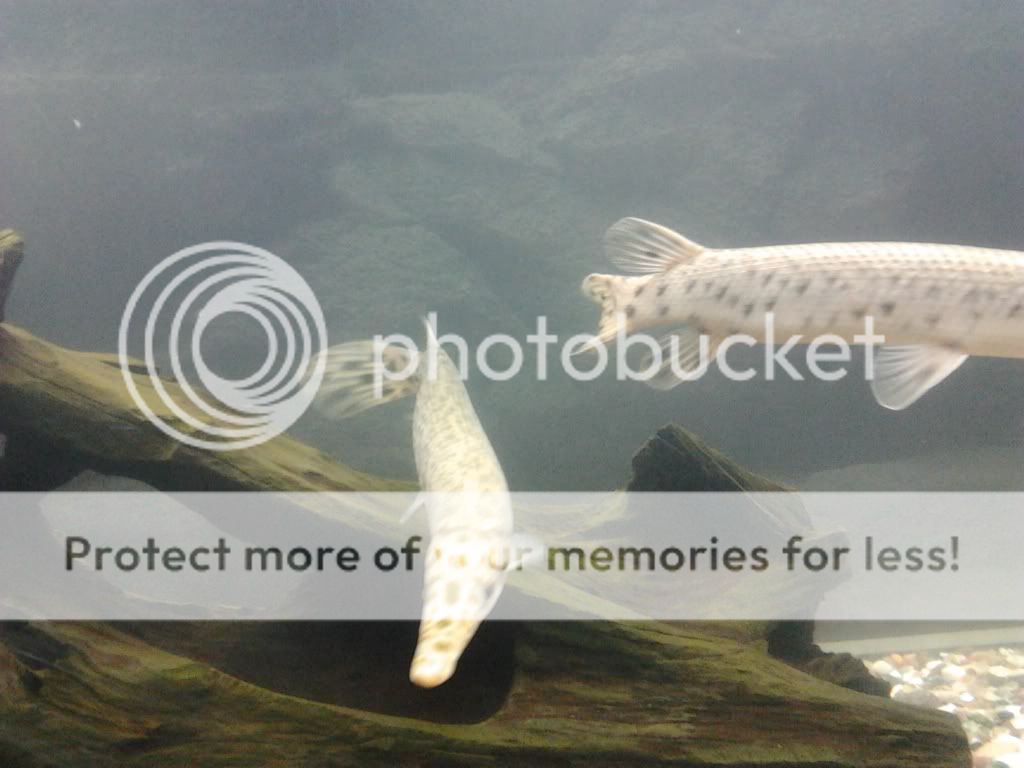 2012-01-02234724.jpg