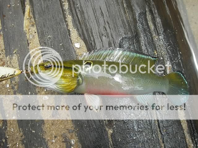 IMGP0069640x480.jpg