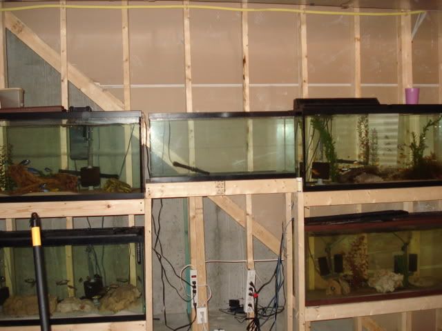 DSC01793.jpg