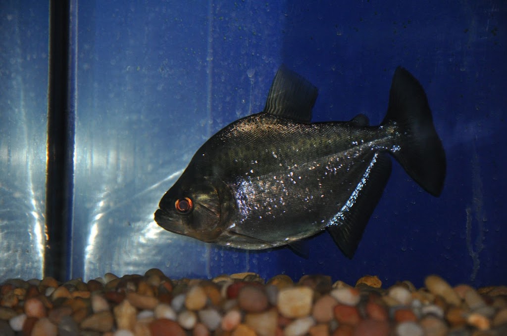 DSC_2128.JPG