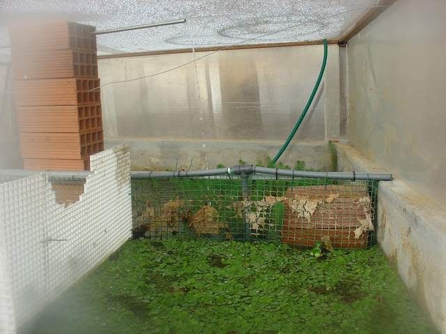 DSC04809.jpg