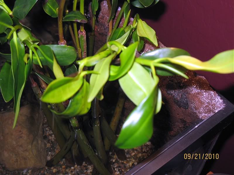 IMG_58732.jpg