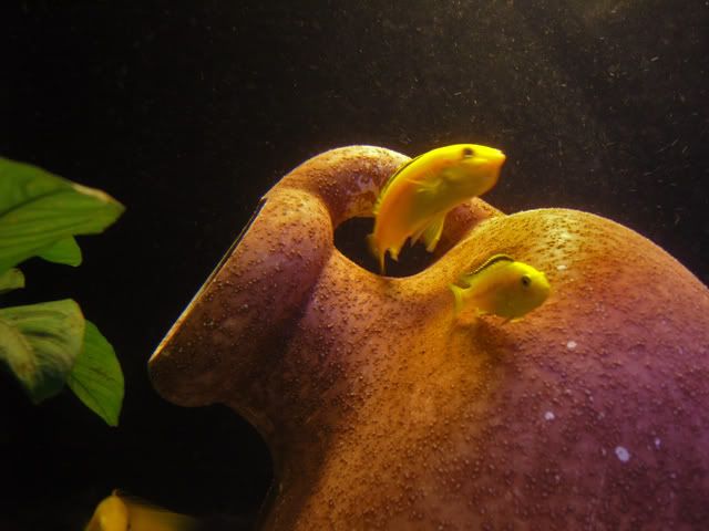 SNC12683.jpg