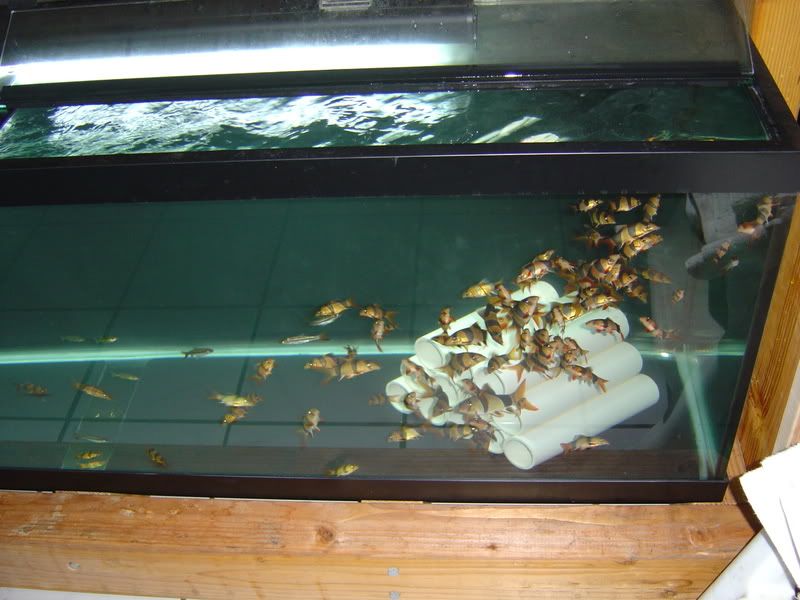 7-26-08014.jpg