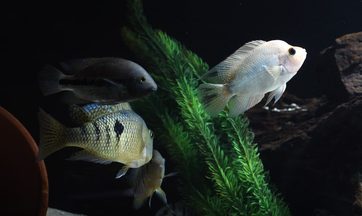 aIMG_0259.jpg