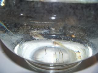 100_0797.jpg