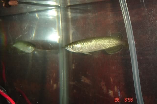 DSC03003.jpg