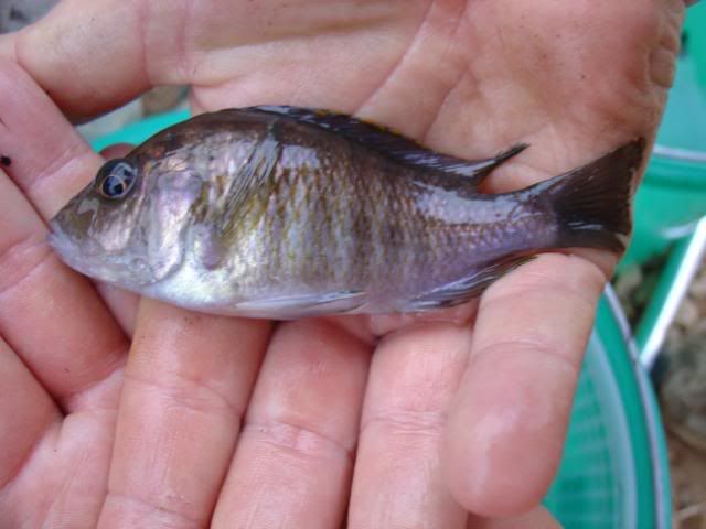 DSC08927.jpg