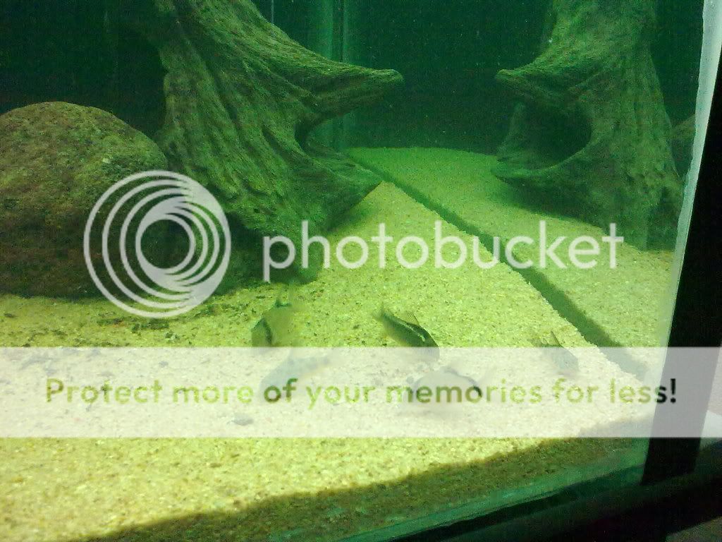 30052009150.jpg