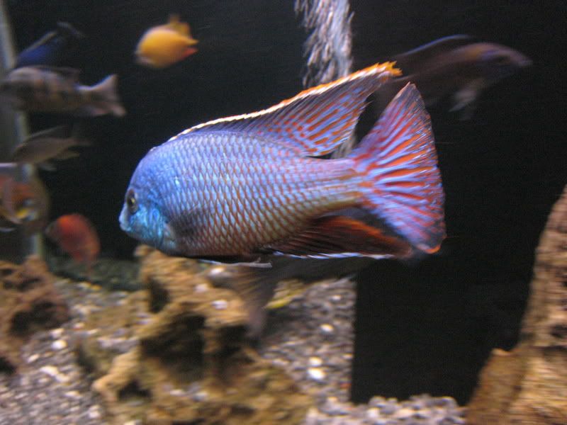 IMG_4703.jpg